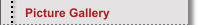 Picture Gallery