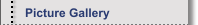 Picture Gallery